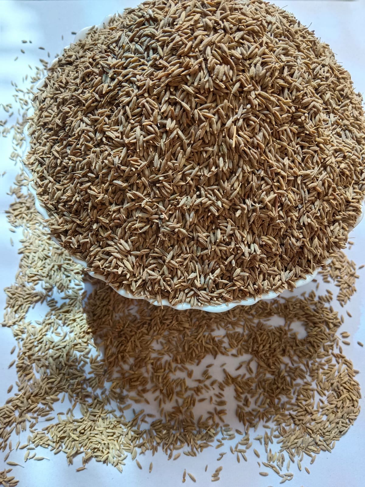 Static Gallery Image