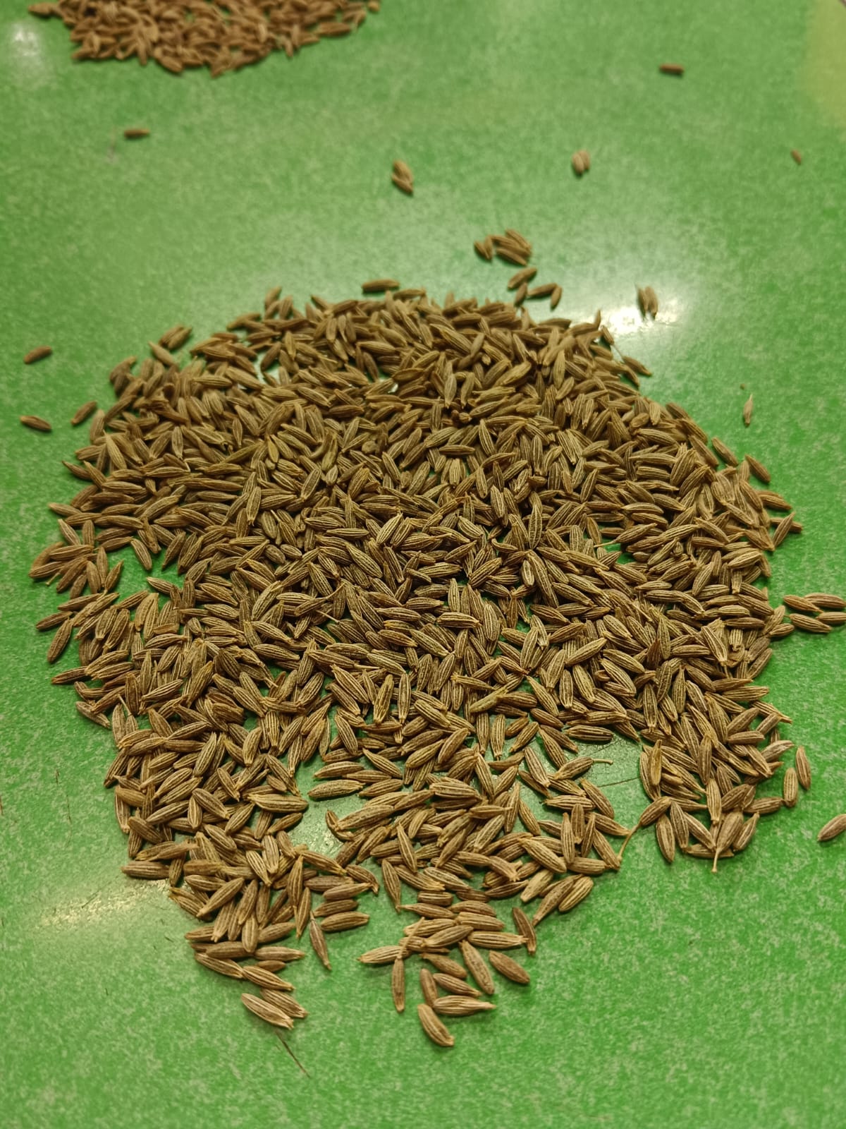 Static Gallery Image